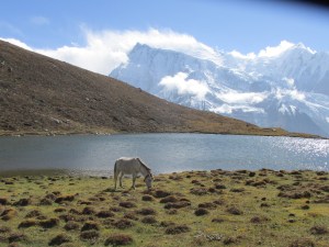 B442B407-7A3A-4FF3-AA0E-E95F0AC928AC