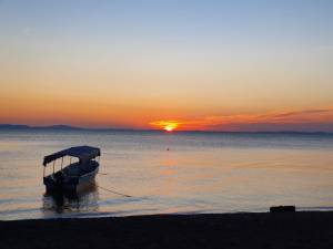 059a5531-3afa-4dba-81d8-36ebeae1415a