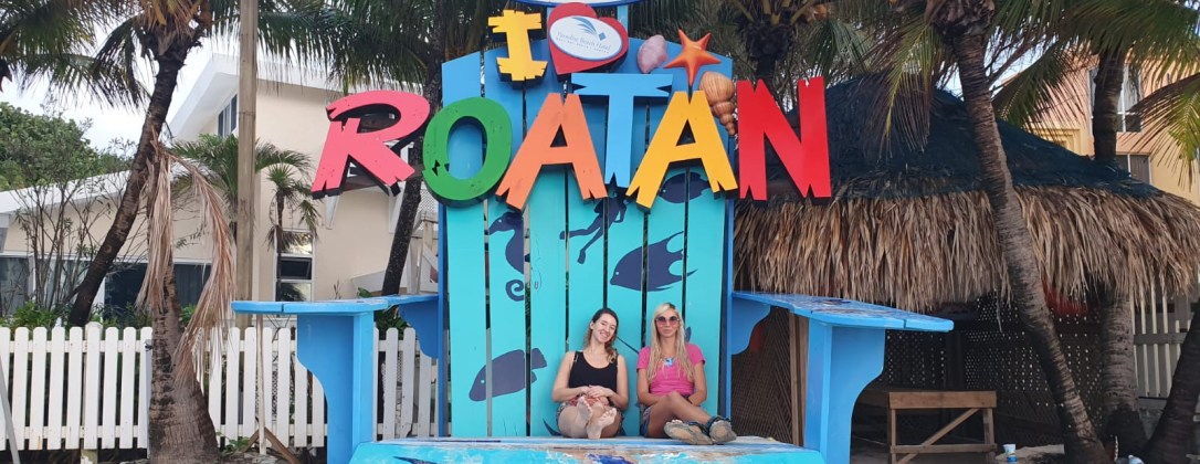 60ab88d2-68b3-47b5-86e2-a27c39f323ab