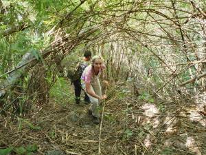 67e41700-868d-45b0-80e0-28c17f72005b