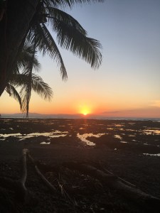 6DDA9792-3341-4B2B-A865-6EDB271E5B23