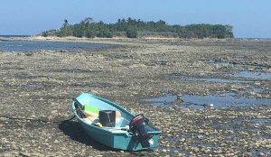 D064B1BB-6DF0-4476-A443-E24F5B6AC5E2