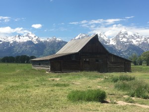 51CD1AA8-23EE-4AAA-9DA3-2774B31F8540