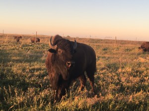 565FFF59-2EA1-494B-8704-2FA4803C98E6