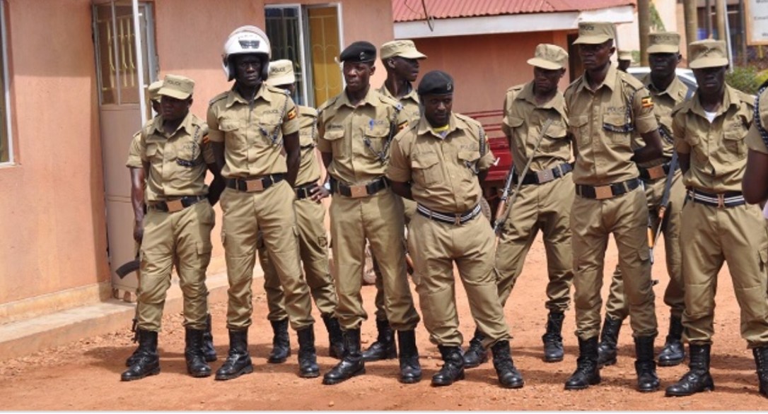 656D5E50-007B-444D-88AC-D166A74FD84E