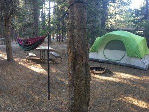 6E30CF57-5AC6-47DC-B007-29E7E93A01F7