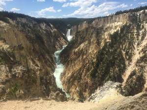 7236D48F-9659-4980-8140-BE981BC57117