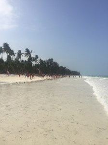 84F0FE6A-A2E9-4407-8586-53D4C57E98FB