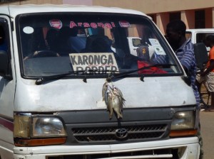 9CCF9836-EBA9-4F84-B4FF-909403C5FEDD