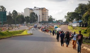 D312F4F2-CB15-4FF7-AE81-A82F1B7BC45E